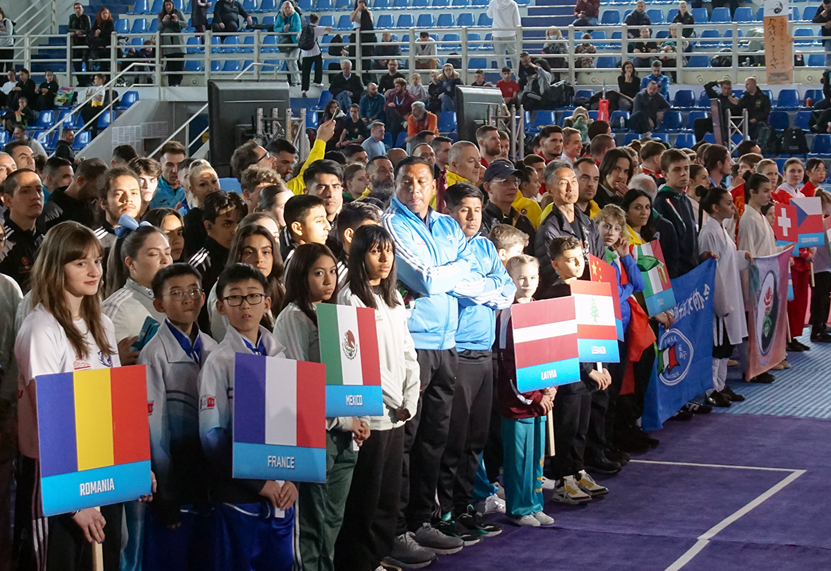 4th Acropolis-Forbidden city international wushu open tournament