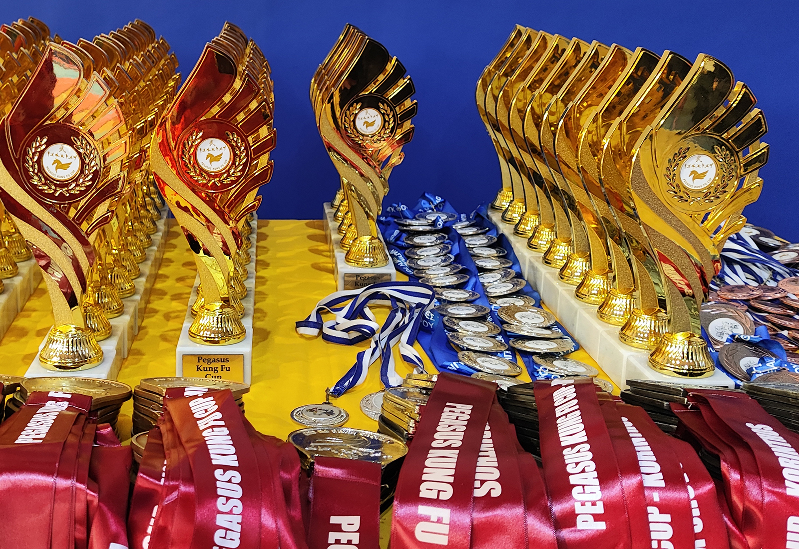 7ο Διασυλλογικό Πρωτάθλημα «Πήγασος» Wushu Kung Fu